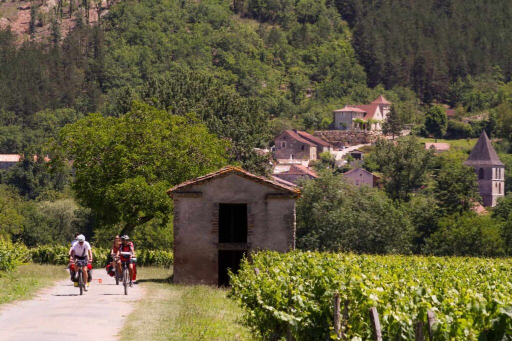 Cyclistes à vélo dans les vignobles de la vallée du Lot